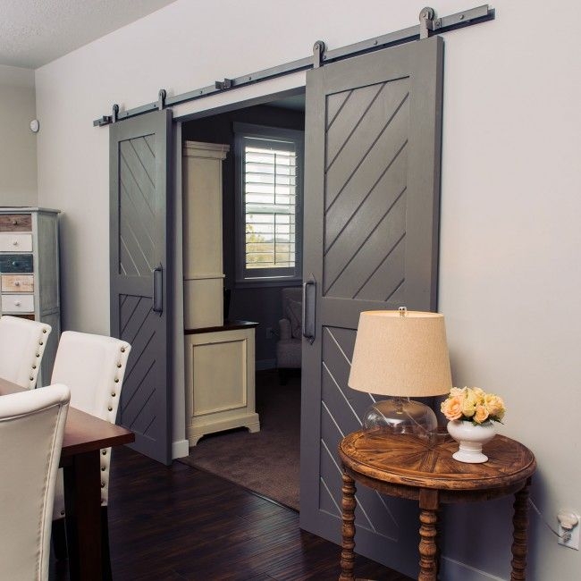 Modern Gray 2-Panel Sliding Barn Door Interior