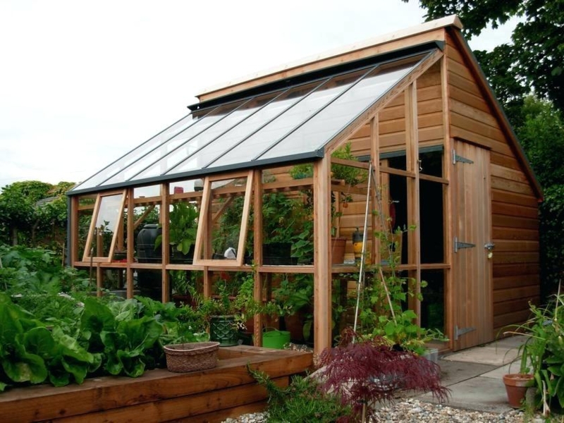 Modern Greenhouse Shed Combination with Wooden Frame