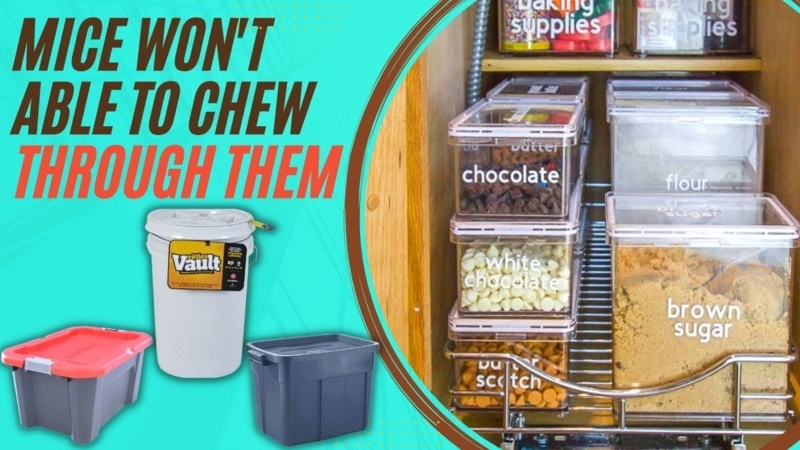 Mouse-Proof Clear Storage Containers for Kitchen Pantry