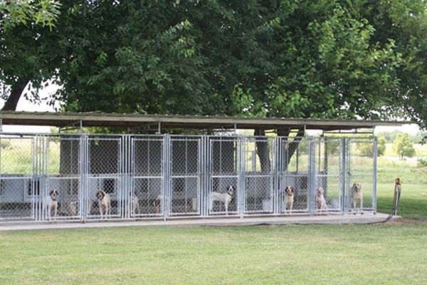 Multiple Dog Kennel Cheap Dog Kennels, Luxury Dog Kennels, Kennel Ideas ...