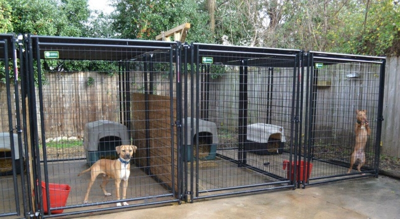Multiple Dog Kennels
