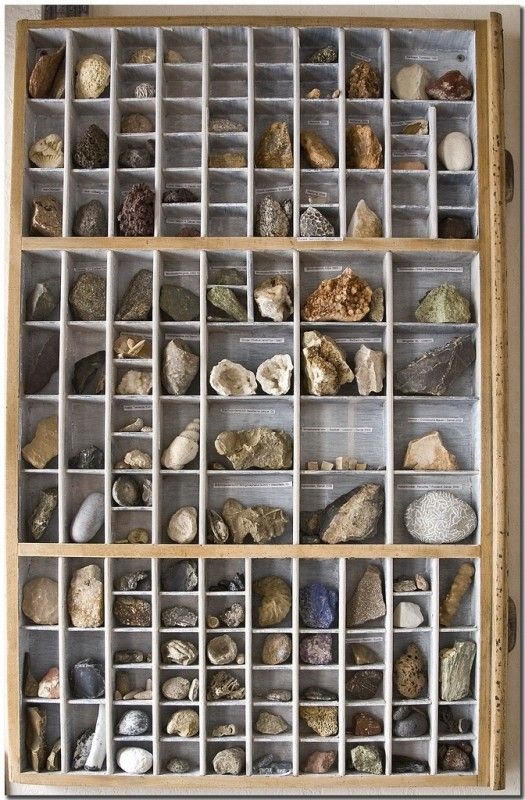 Organized Rock Display Case with Multiple Compartments