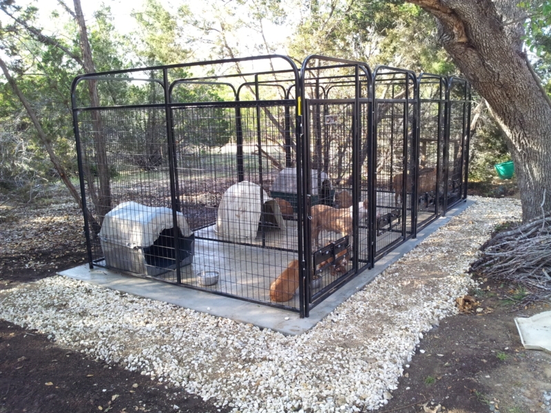 Outdoor Multiple Dog Kennel Run with Full Stalls