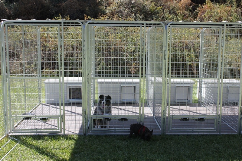 Outdoor Multiple Dog Kennels with Secure Wire Fencing