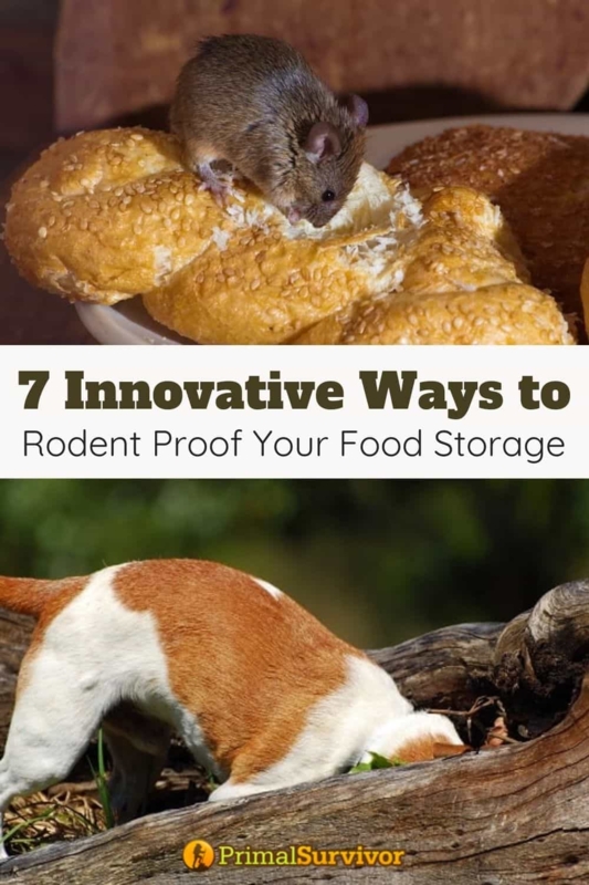 Rodent-Proof Food Storage Container Solutions