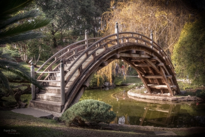 Serene Japanese Wooden Arch Bridge in Garden