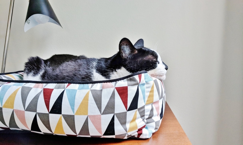 Stylish Modern Cat Beds Enhancing Home Decor