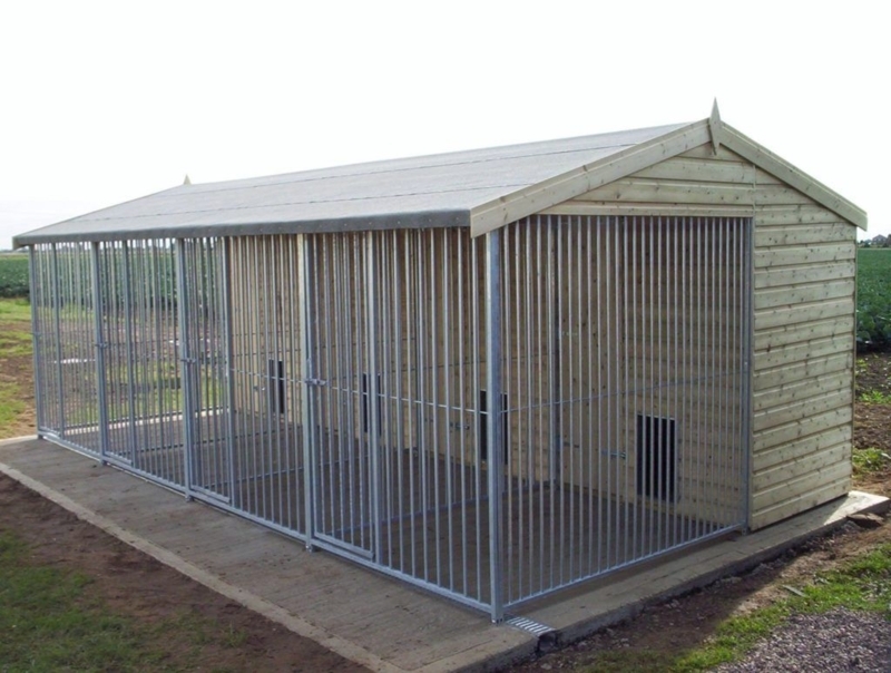 the-maples-multi-dog-kennels | Outdoor dog house, Dog boarding kennels ...
