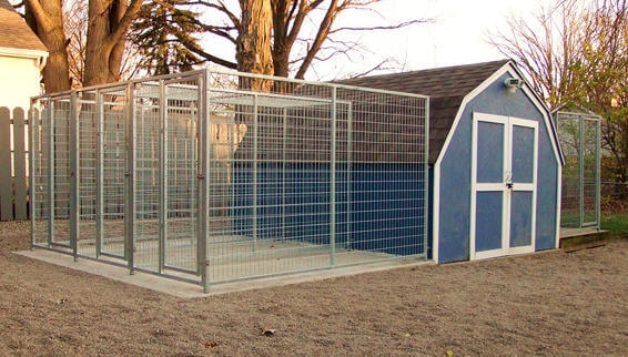 TK Products Pro-Series Backless Multi-Dog Kennels for Indoor/Outdoor ...