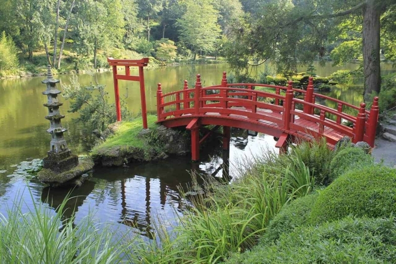 Traditional Red Japanese Garden Bridge Over Pond