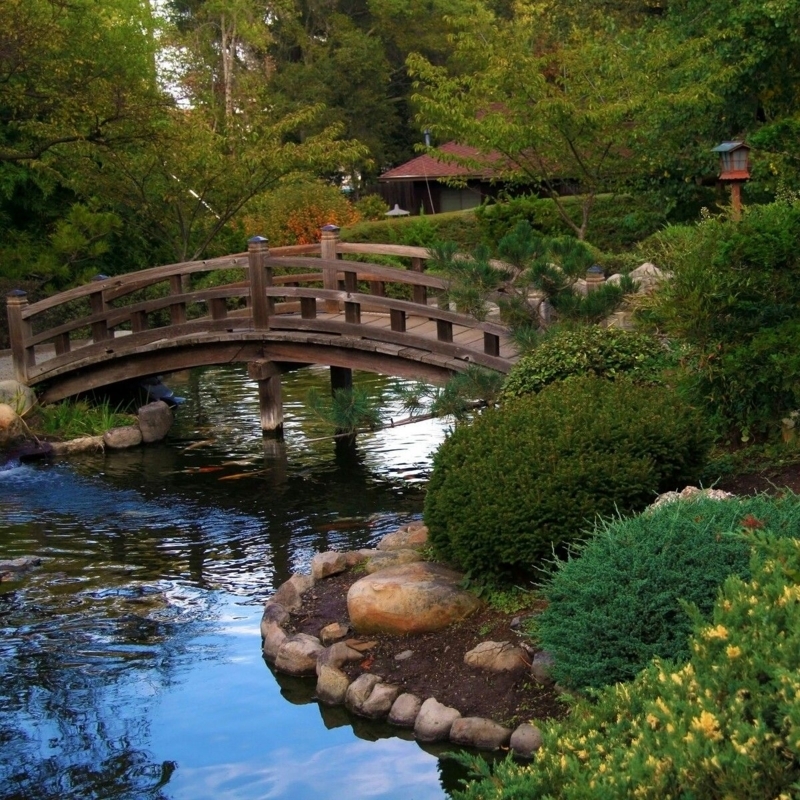 Tranquil Wooden Bridge in Japanese Garden Design