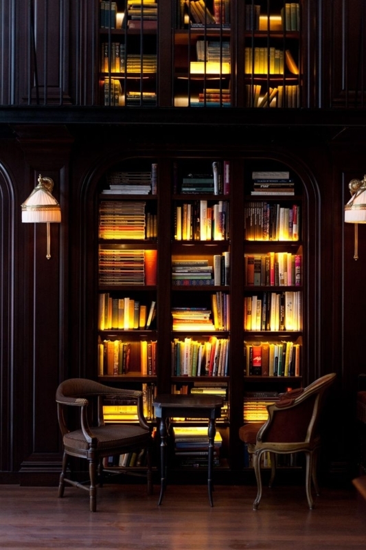 Warm LED Lighting for Elegant Library Bookcases