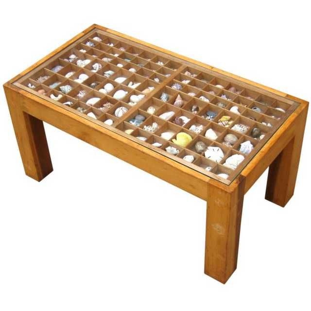 Ways to display rocks and fossils and stuff, I plan to do some of these ...