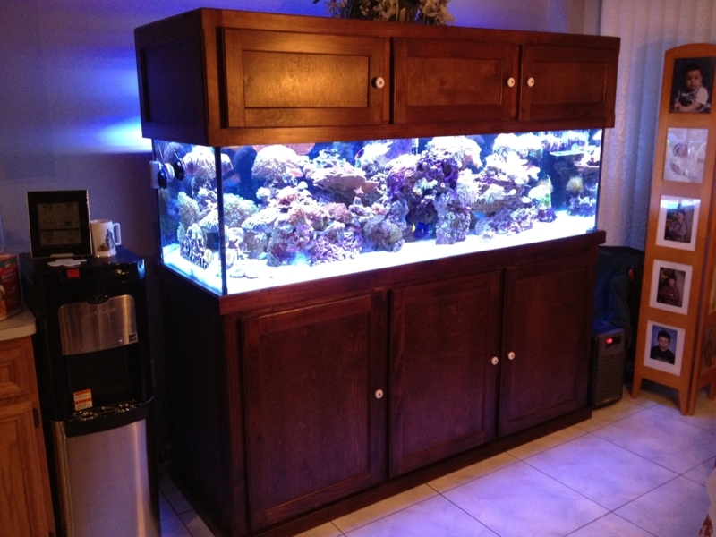 150 Gallon Large Saltwater Aquarium with Wood Stand