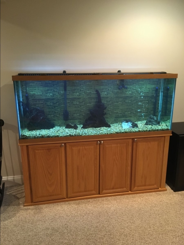150 gallon system | Reef2Reef