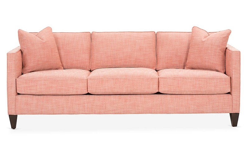 Coral Cecilia Sleeper Sofa with Chocolate Frame