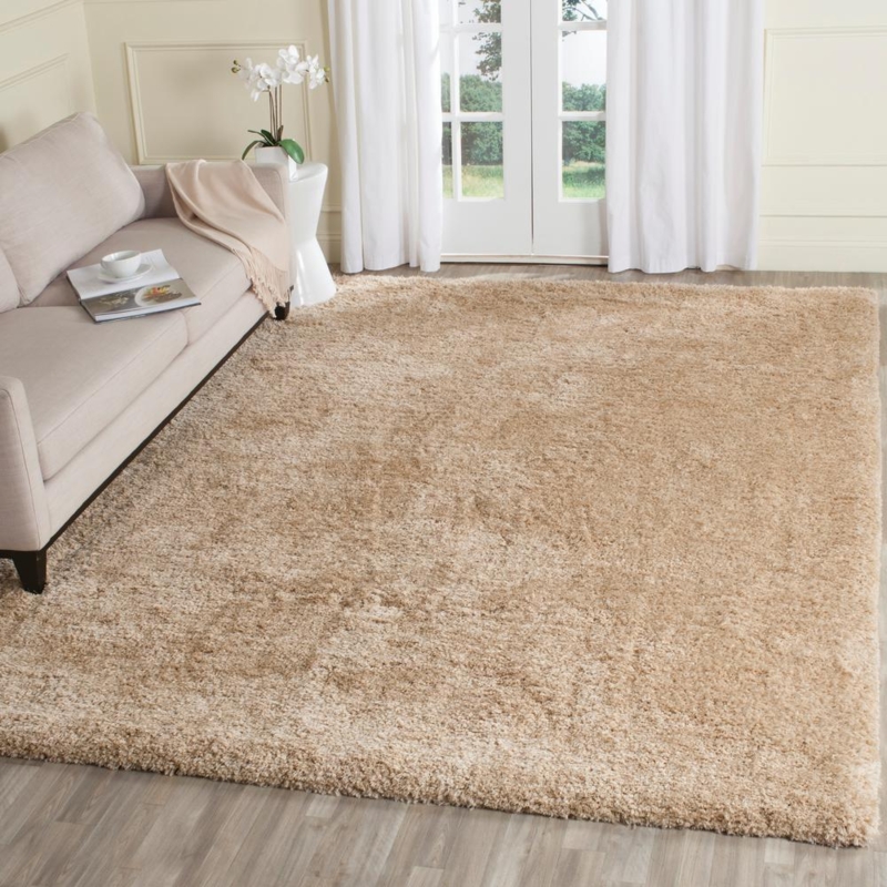 Cozy Beige Shag Area Rug for Living Room