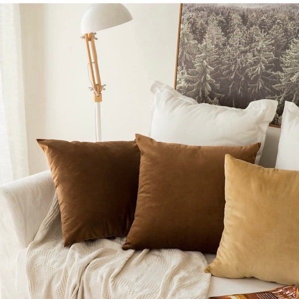 Cozy Brown Velvet Pillows on White Sofa