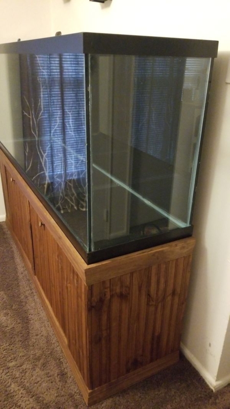 Custom 150-Gallon Oceanic Fish Tank with Wooden Stand