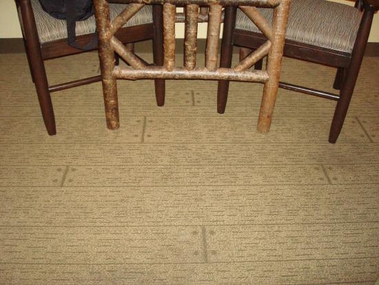 Durable Carpet Mimicking Hardwood Flooring Style