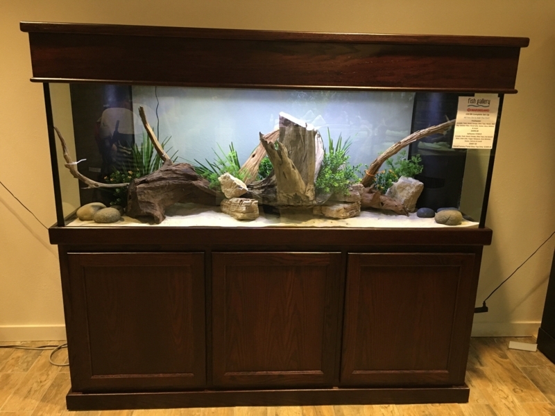 Elegant 150 Gallon Reef Aquarium with Wood Stand