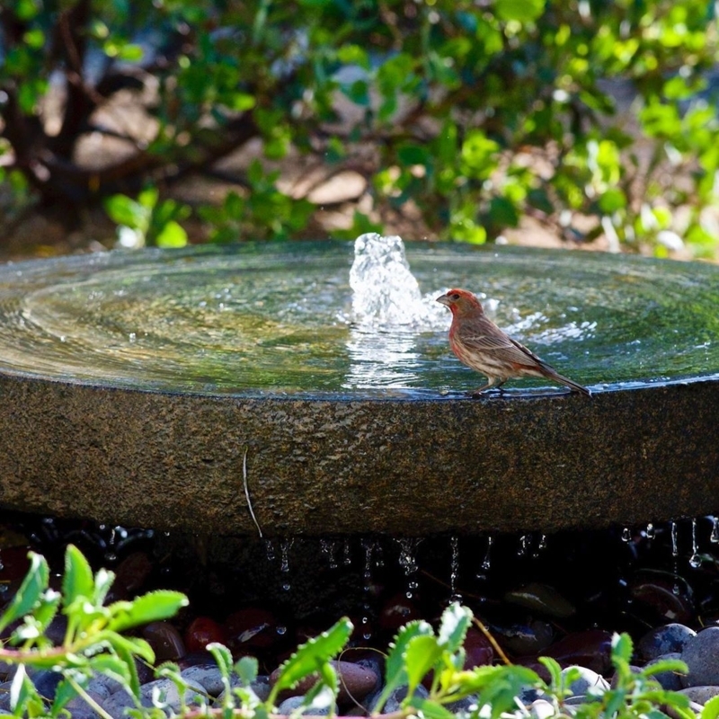 Elegant Bird-Friendly Garden Stone Fountain