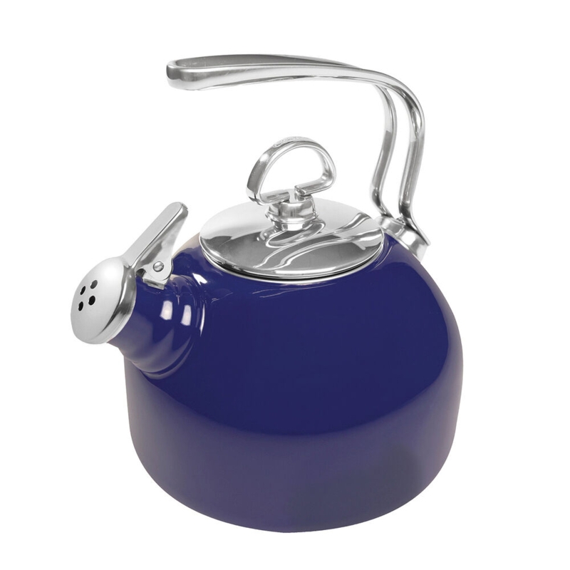 Elegant Blue Stainless Steel Tea Kettle