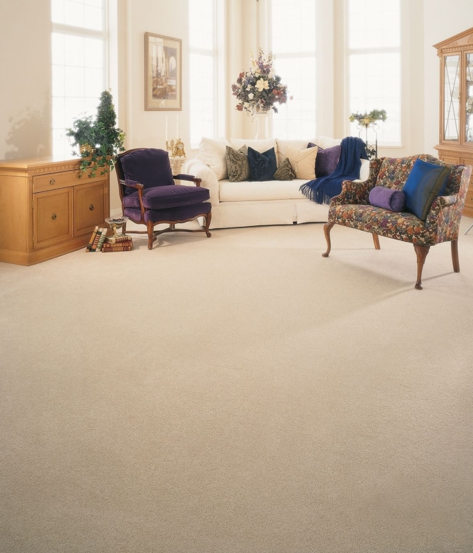 Elegant Living Room with Pristine Beige Carpet