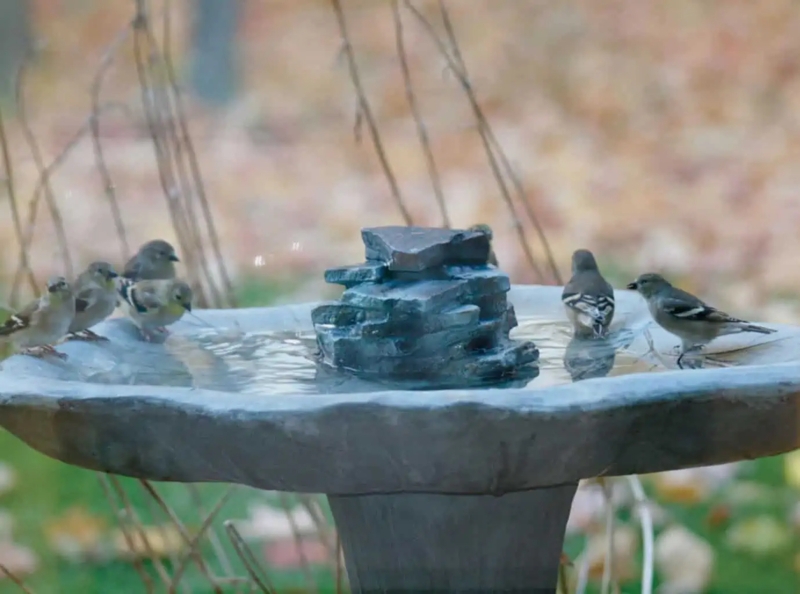 Elegant Stone Bird Bath Fountain for Garden