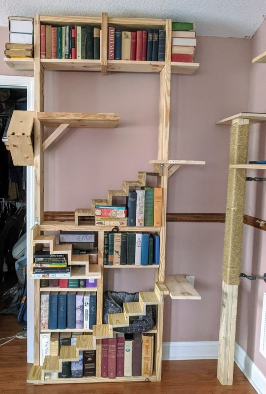 Innovative Bookshelf and Cat Tree Combo Design