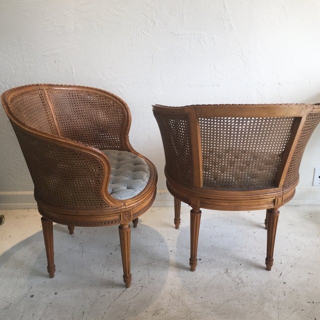 Louis XVI Style Cane Barrel Chairs- A Pair | Chairish