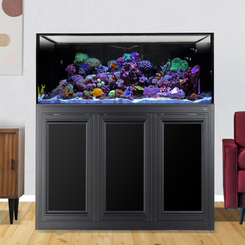 Modern 150 Gallon Lagoon Aquarium with Black Stand
