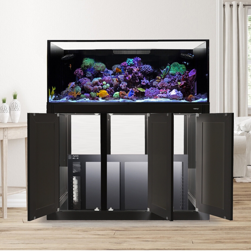 Modern 150 Gallon Lagoon Aquarium with Black Stand