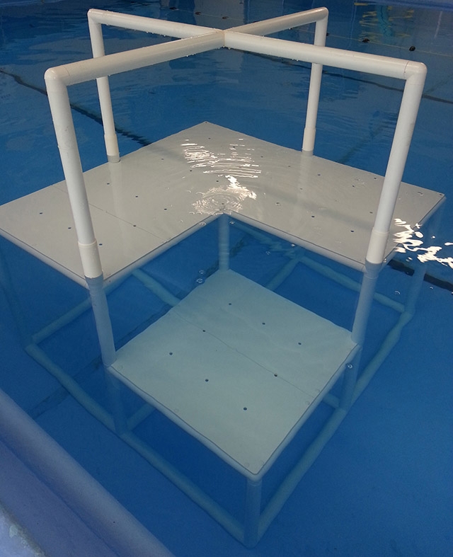 Modern Elevated Swimming Pool Platforms with Safety Rails