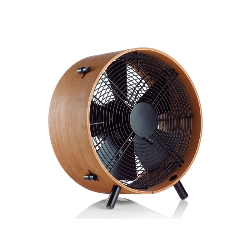 Decorative Walls Fans
