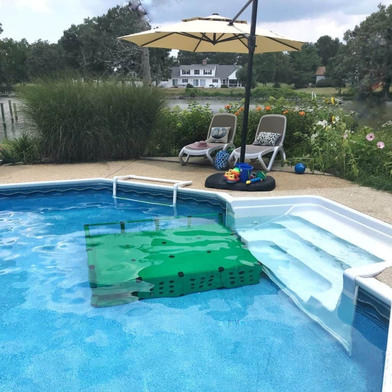 Quattro Aqua Swim Platform for In-Ground Pools