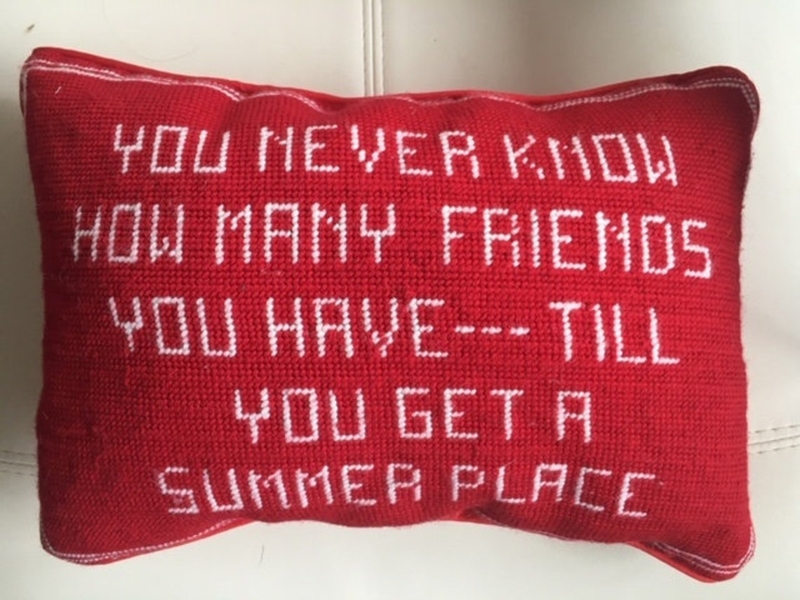 Red Needlepoint Pillow With Humorous Text
