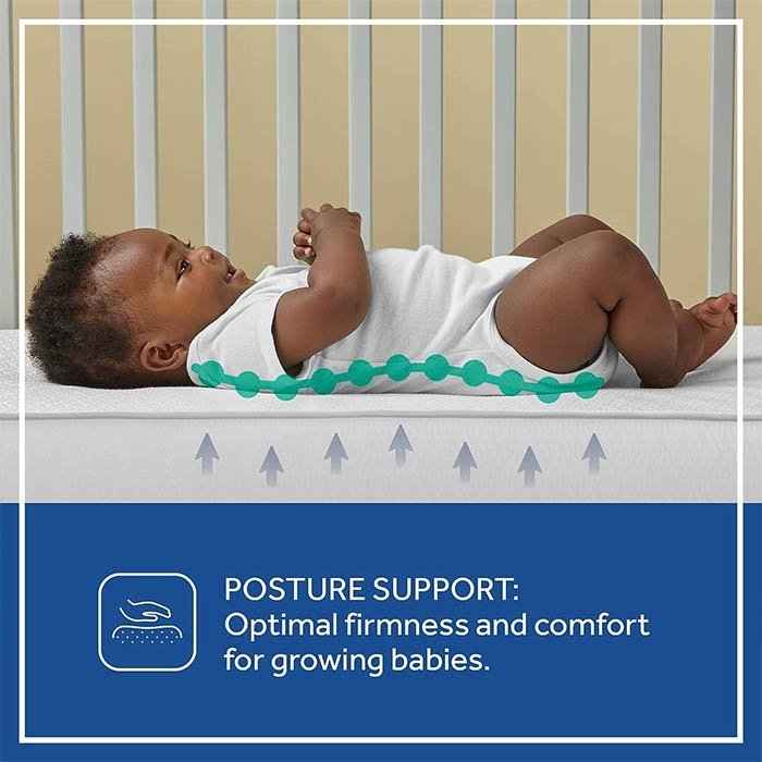 Crib Mattresses Supports