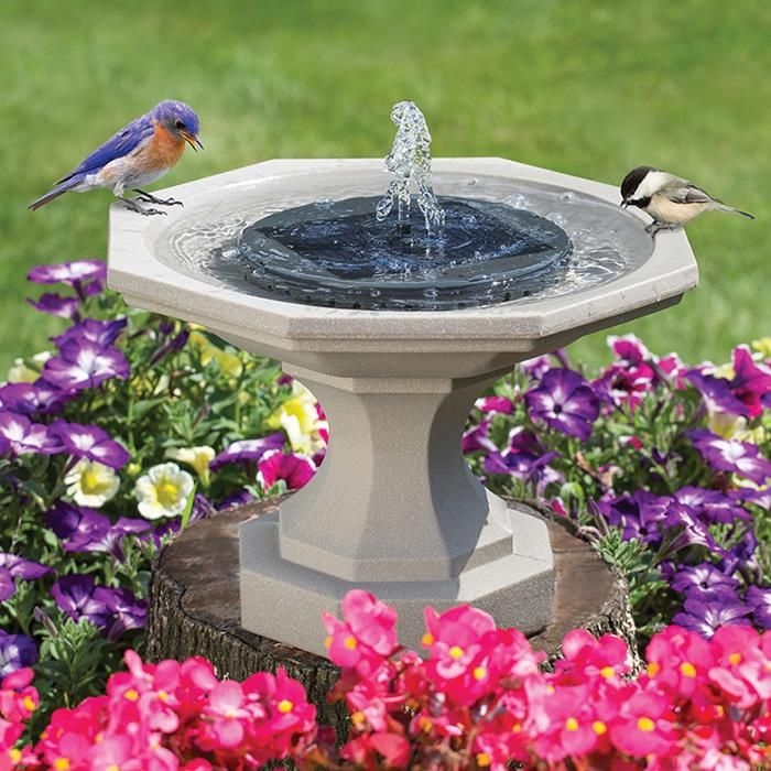 Solar-Powered Bird Fountain Surrounded by Colorful Flowers
