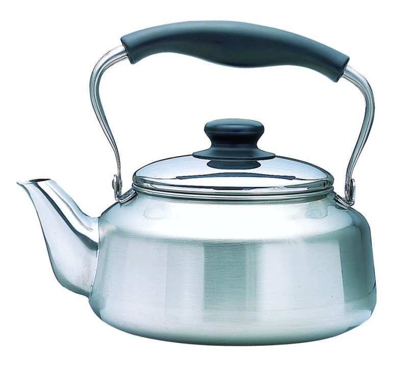 Stainless Steel Tea Kettle with Black Handle