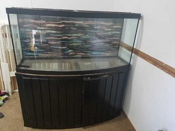 Stylish Black Stand for 150-Gallon Aquarium