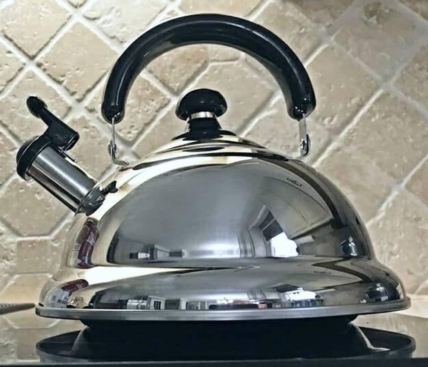 Stylish Stainless Steel Non-Toxic Tea Kettle