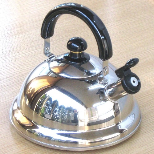 Stylish Stainless Steel Tea Kettles from Global Brands