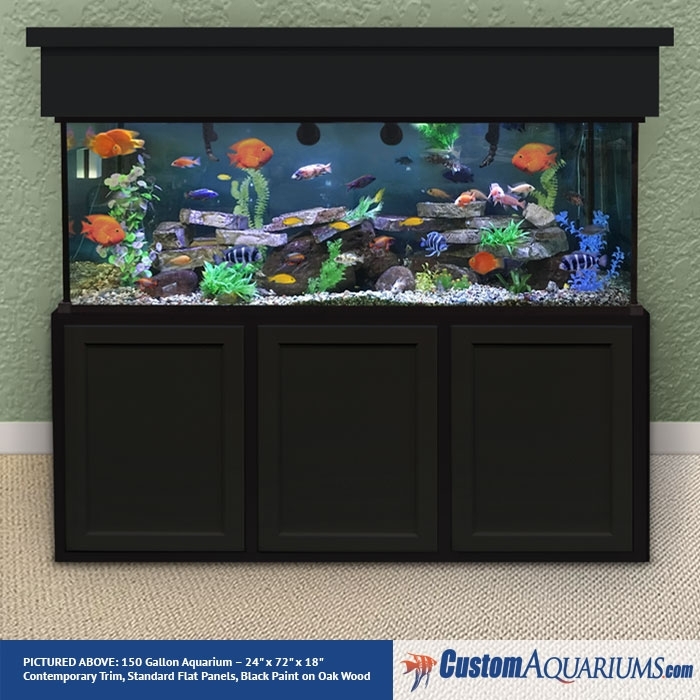 Vibrant 150 Gallon Aquarium with Diverse Fish