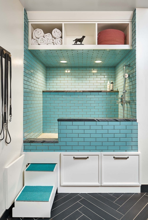8 Reasons to have a Dedicated Dog Bath at Home - Photos