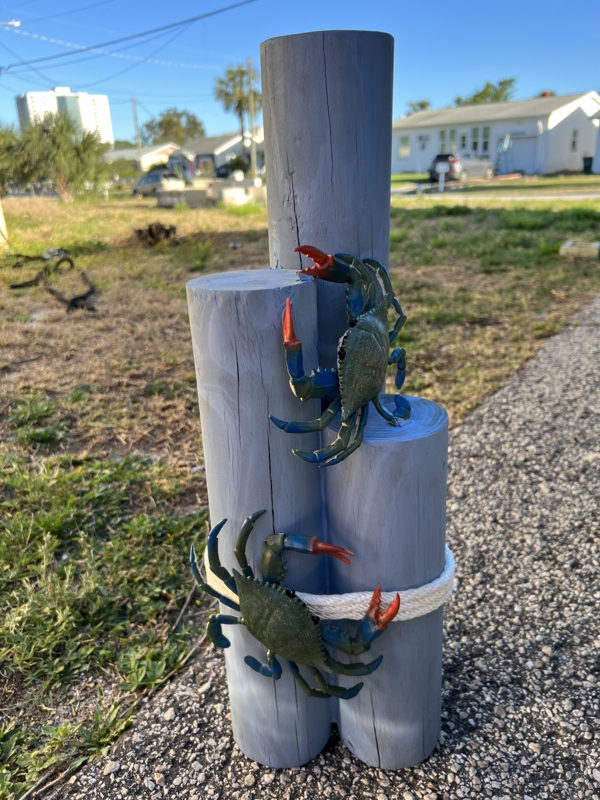 Charming Nautical Outdoor Decor with Blue Crabs