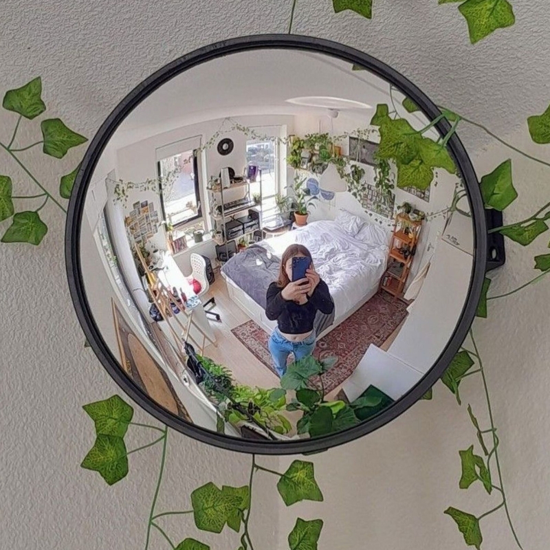 Convex Fish Eye Mirror with Greenery Decor