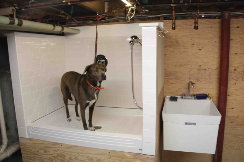 Custom Indoor Dog Grooming Tub with Utility Sink