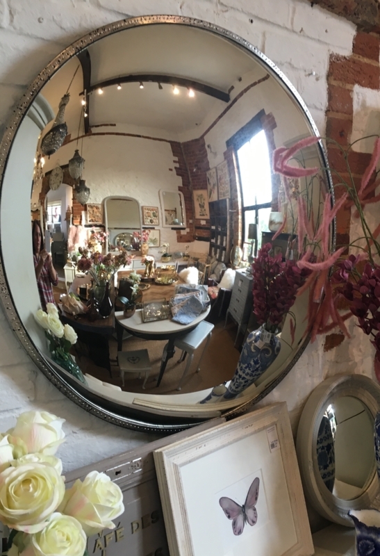 Mirror Fish Eyes