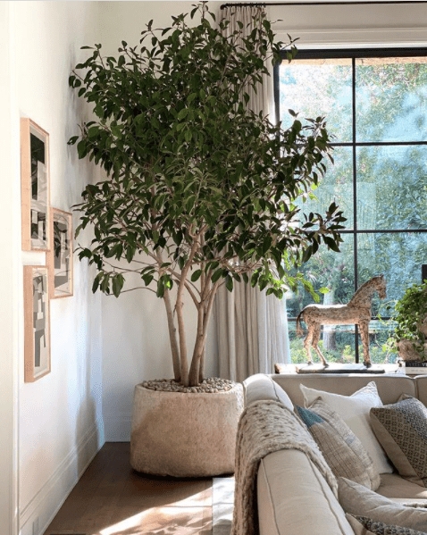 DIY Faux Realistic Indoor Tree for Cozy Living Room